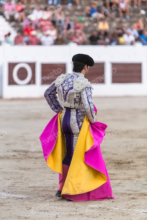 Preview: Detail of the "traje de luces" or bullfighter dress, Spain