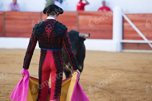 Preview: Bullfighter with the Cape in the Bullfight, Spain