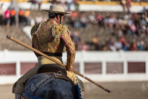 Preview: Picador bullfighter, lancer whose job it is to weaken bull's neck muscles