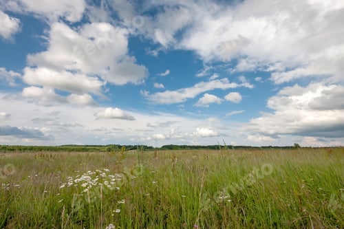 Preview: A Picturesque Landscape With a Green Field and a Blue Sky With White Clouds.