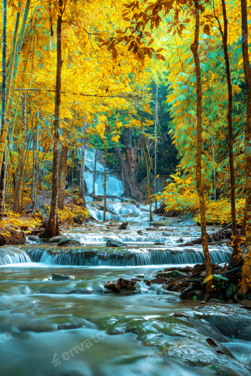 Preview: Vertical long exposure view of a gentle stream flowing through a golden autumn forest with green bam