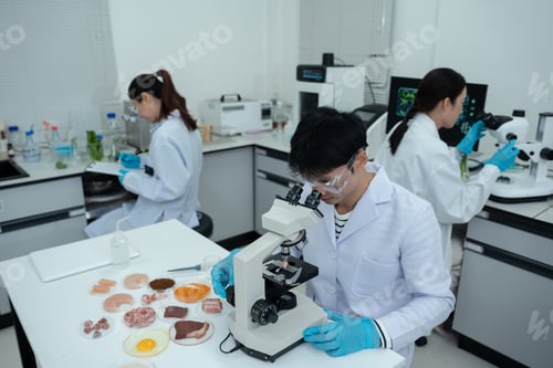 Preview: Team Food Safety Scientists Testing Meat Samples in Laboratory for Contamination and Chemical Residu