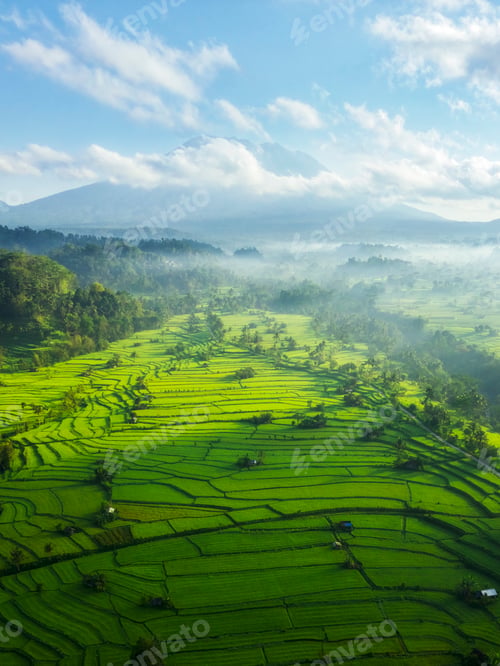 Preview: Aerial Landscape of lush Rice Fields and Mount Agung – Sustainable Agriculture in Bali Countryside
