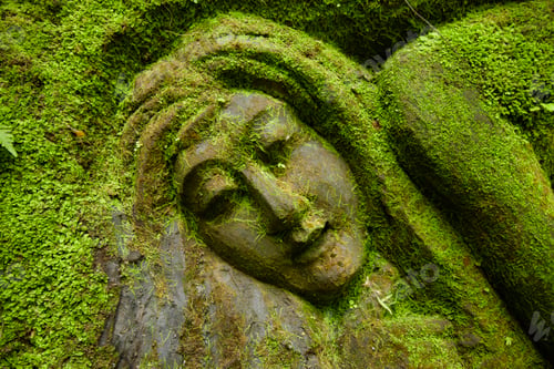 Preview: A woman face carved of rock, overgrown with moss and plants in the tropical Balinese jungle.