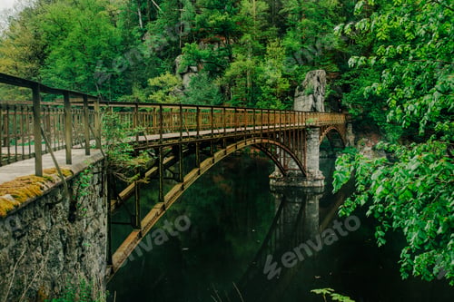 Preview: Spring lake, green forest, 19th century metal bridge over stream, Sudetes Poland.