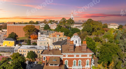Preview: Aerial view of Macon, Georgia with historic downtown streets and old American architecture. Southern