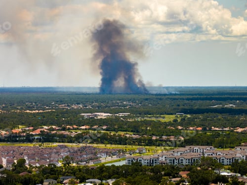 Preview: Prescribed burn clearing overgrown vegetation near residential area