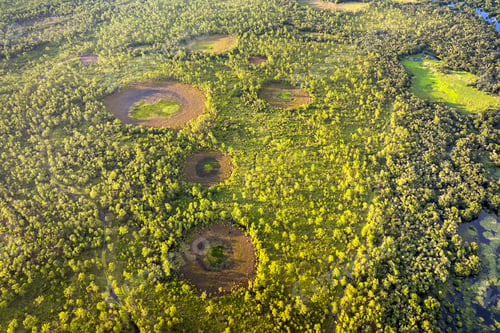 Preview: Florida wetlands with water between green wild vegetation