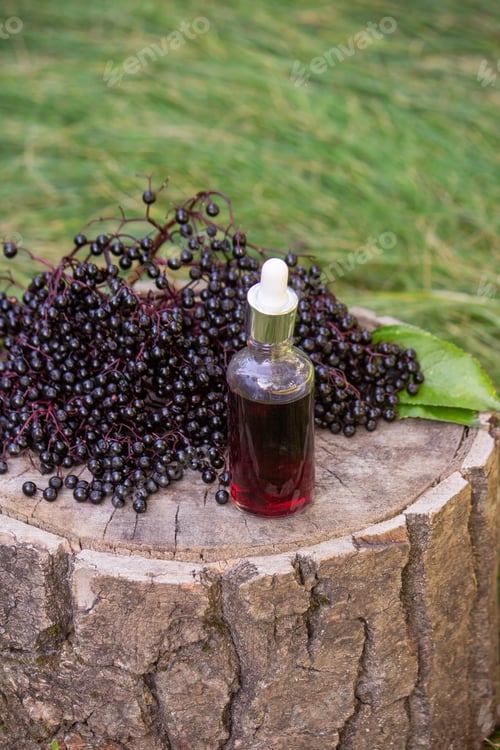 Preview: Elderberry Tincture Bottle and Fresh Berries on a Rustic Wood Stump