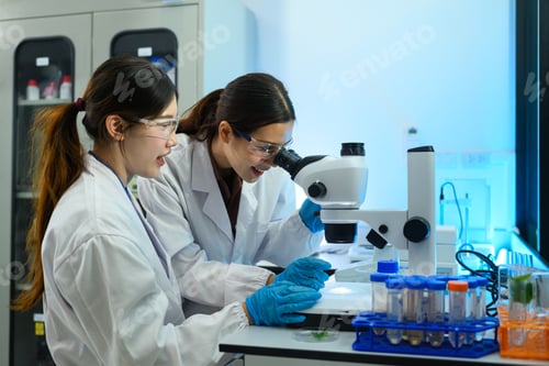 Preview: Two Female Scientists Examining Sample Under Stereo Microscope in Modern Research Laboratory