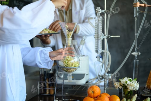 Preview: Scientists in White Lab Coats Distilling Natural Plant Botanicals in Glass Flask with Distillation A