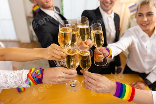 Preview: Friends raising champagne glasses at Pride wedding