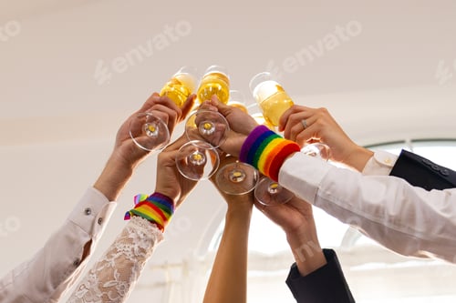Preview: Friends raising champagne glasses at Pride wedding