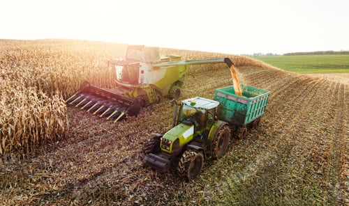 Preview: Illuminated by sunlight. Agricultural harvest with combine machines working in a corn field, aerial