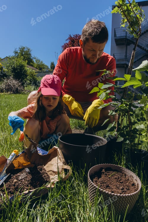 Preview: Father and daughter plant flowers together in a sunny backyard, wearing colorful gloves and casua...