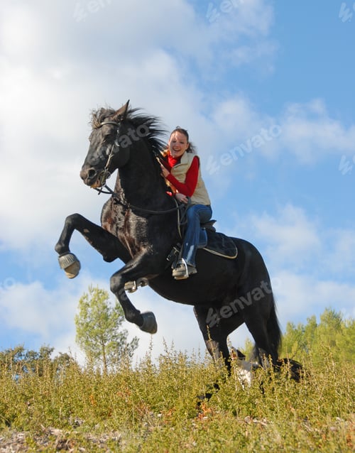 Preview: Riding Girl and Horse