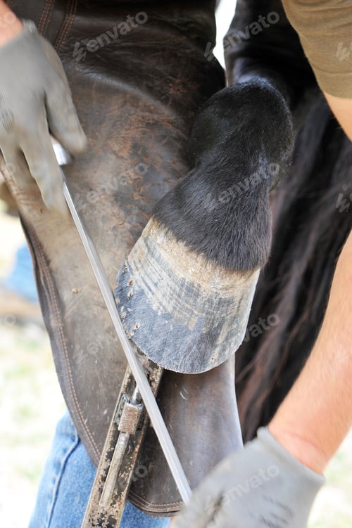 Preview: Farrier