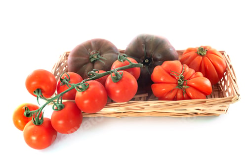 Preview: Varieties of Tomatoes