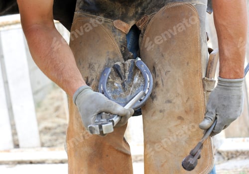 Farrier Working on a Horse Hoof with Professional Tools