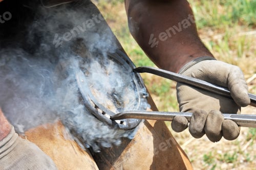Farrier Fitting a Hot Horseshoe to a Horse Hoof