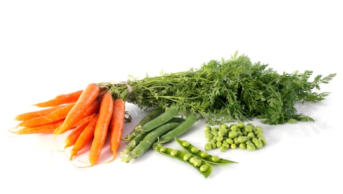 Preview: Vegetables in Studio