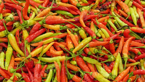 Preview: A group of hot chili cayenne peppers of different colors, top view