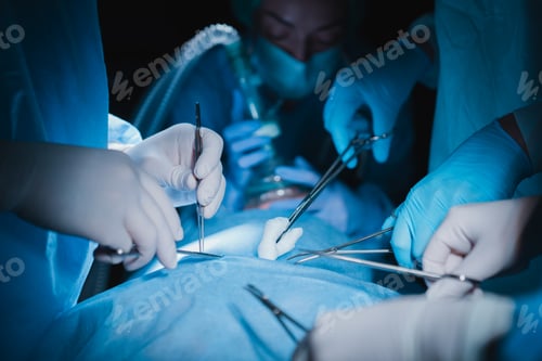 Preview: Close up of surgeons hands performing operation with scalpel and gauze