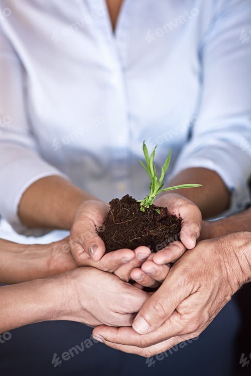 Preview: Team, growth and hands with plant, office and people with investment opportunity and sustainability