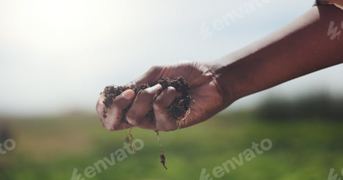 Preview: Farmer, hand and check soil with inspection for healthy crops, quality assurance or sustainability