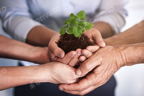 Preview: Team, unity and hands with plant, office and colleagues with investment opportunity and sustainable