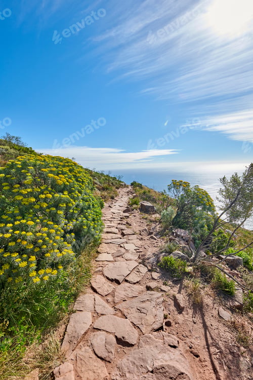 Preview: Travel, blue sky and landscape with trail in nature for environment, holiday destination