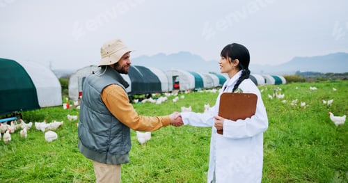 Preview: Agriculture, handshake and farmer with vet outdoor on ranch for welcome, agreement or greet