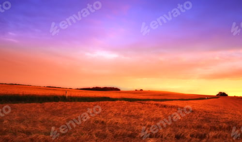 Preview: Sunset, outdoor and landscape of farm with trees, sky and grass for summer in countryside