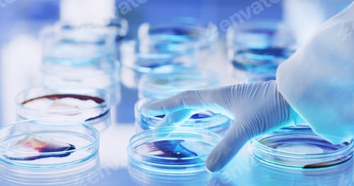 Vista previa: Medical, hand or person in lab with petri dish, biotechnology or liquid test for vaccine