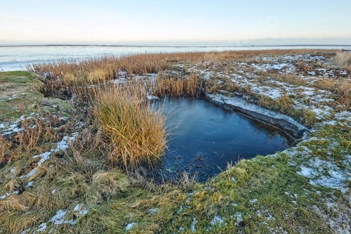 Preview: Landscape, water and environment with coast in nature for sky space, ecology and horizon