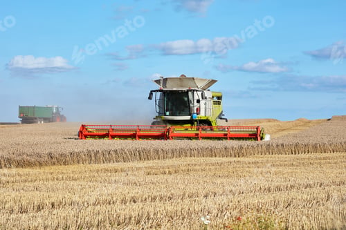 Preview: Harvester, machine and crops on farm outdoor for agriculture, cutting wheat and collection