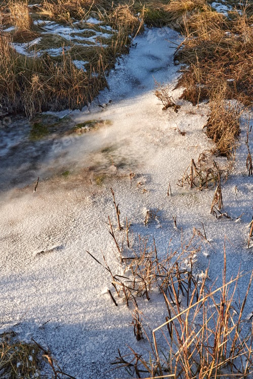 Preview: Travel, landscape and grass with snow in nature for field, winter season and environment