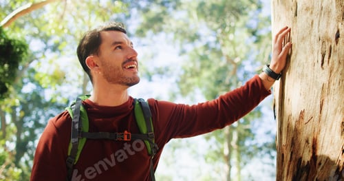 Preview: Touch tree, hiking and happy man in forest for eco tourism, thinking or connection to nature