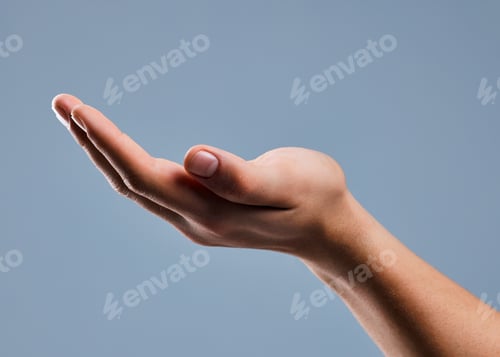 Preview: Person, hand and studio with palm for donation, begging or request on a gray background
