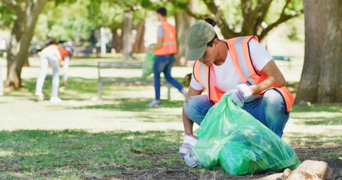 Preview: Volunteer, cleaning and man in park with plastic bag to collect trash, garbage