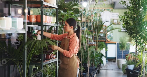Preview: Spray, plant and growth with woman in nursery for quality control, botany specialist