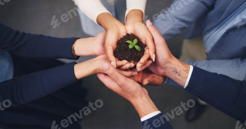 Preview: Hands, soil and business people with plant for natural growth, nurture or development above