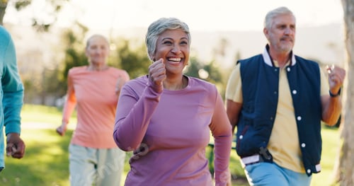 Preview: Group, senior woman and exercise at park for retirement fitness, mobility or cardio workout