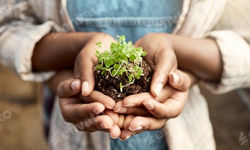 Preview: Hands, people and farmer with plant growth agriculture, cultivation and climate change