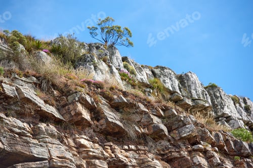Preview: Plants, rocks and mountain with blue sky in nature, environment sustainability