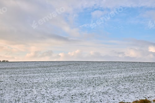 Preview: Landscape, farm and clouds with snow in nature for agriculture, dormant crops and winter season