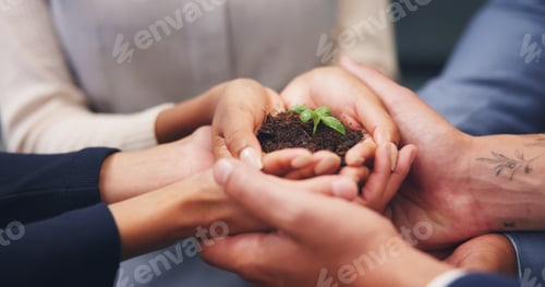 Preview: Soil, plant and business people with hands together for natural growth, nurture or development
