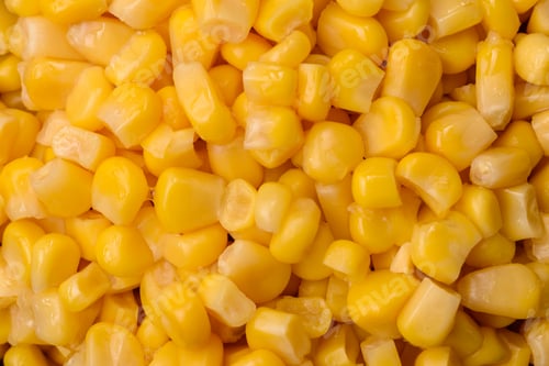 Preview: Golden, sweet canned corn kernels or maize for salads and vegetarian dishes. Canned corn