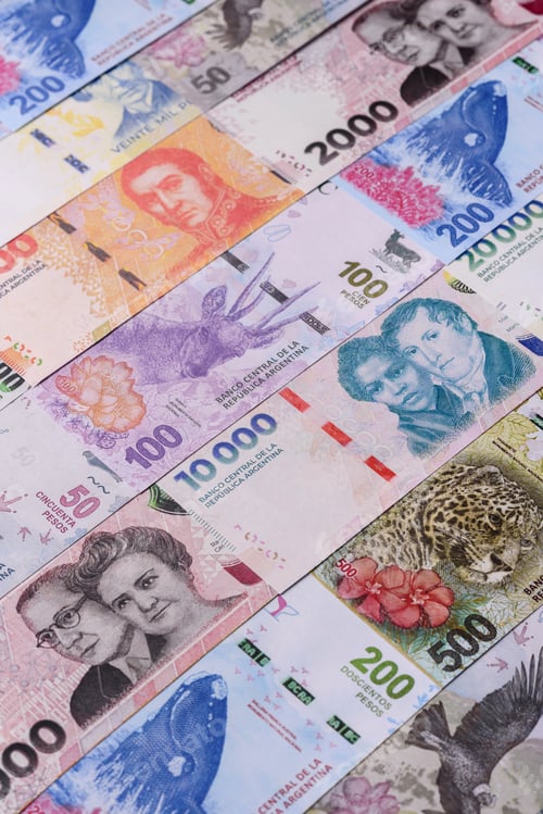 Preview: Argentina paper money, peso in various denominations. Argentine money