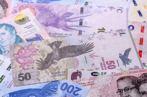 Preview: Argentina paper money, peso in various denominations. Argentine money